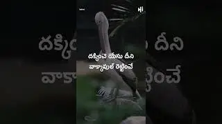 #shorts Jesus Songs Shorts ఈ సంఘం పునాది - Ee Smghm Punaadhi Song | Jesus Telugu Songs