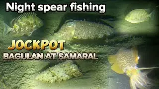 Jockpot sa Samaral at Bagulan | Night Spear Fishing PHILIPPINES | Negneg Kulots Tv🤿🤟🤟