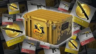 Case vs Tim