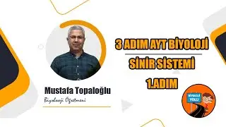 3 ADIM AYT BİYOLOJİ- SİNİR SİSTEMİ 1.ADIM