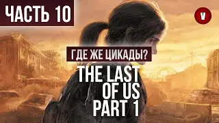 THE LAST OF US | Часть 10 | Где же Цикады?