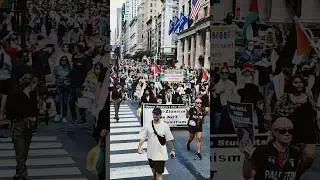 Jewish walk with Palestine in Manhattan