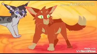 Воробей на что похожи облака? (Коты Воители клип)