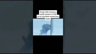 Комбо берет кто нибудь вообще? 