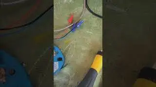 Process Variables