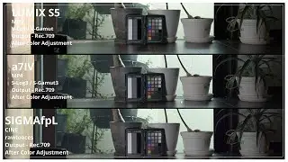 Matching Colors from Different Cameras [RAW Images and Log Video] [DaVinci Resolve].