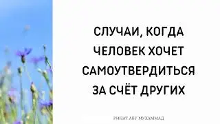 1363. Случаи, когда человек хочет самоутвердиться за счет других || Ринат Абу Мухаммад