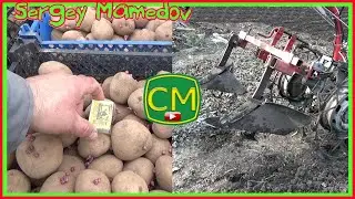 ➤ПОСАДКА КАРТОФЕЛЯ МОТОБЛОКОМ 2020. ЧАСТЬ 2.