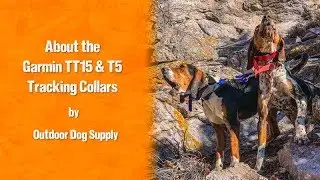 About the Garmin TT15 & T5 Collars