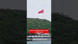 Кто стал мужем наложницы шехзаде Мехмеда, родившей ему дочь.