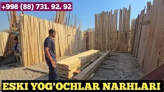 YOG'OCHLAR NARHLARI SURXONDARYO QIZIRIQ JAXON BOZORI 