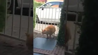 Коротко о том, как я с нихера делаю проблему