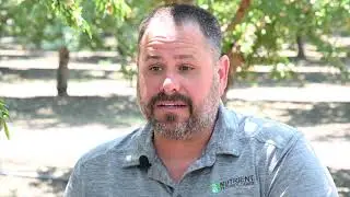ROOTERRA: Boosting Growth Early Benefits Permanent Crops Later