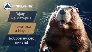 Архив 28.10.23! Эфир - не материя! Политика и наука! Бобров нужно пинать, а не гладить! Катющик ТВ2