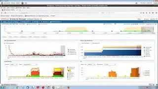 Practice 8.4 ADDM and RAC Part 3