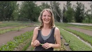 Catherine Blackwell Hess’ Story - ION* Customer Testimonial