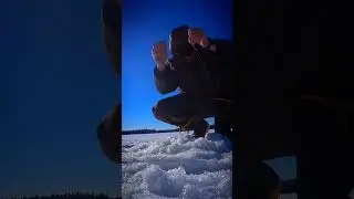 Рыбалка на крупного налима зимой в Карелии 