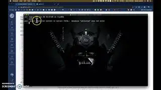 Make your Flaskinni database