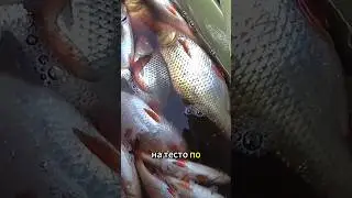 90% Рыбаков не знают про эту насадку! #рыбалка