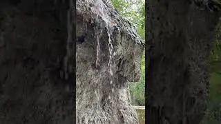 Звуки природы | Искусственный водопад 