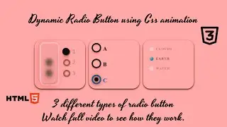 Creative Animated Radio Buttons | Unique & Engaging Designs