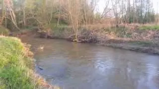 На реке Лопасня