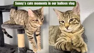 Sunny's cute moments during our Balloon vlog (our other channel)