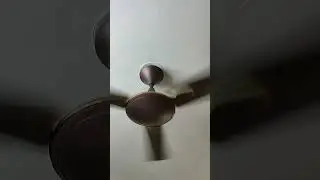 Ceiling fan Noise 😩 #fan #shorts #shortsvideo #fansound #viral