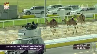 ملخص أشواط الحيل والزمول المفتوحة بالمحلي الثامن ٧-٣-٢٠٢٠