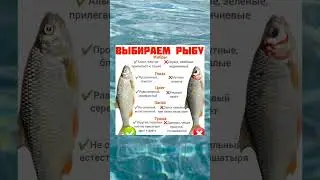 Как выбрать хорошую рыбу 🐠 #рыба #еда #пища #магазин #выбор #море #животные #мясо #вкусно #здоровье