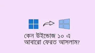 Why did I come back to Windows 10 from Windows 11?
