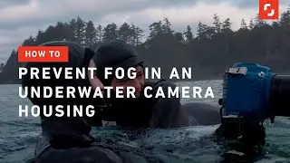 How to Prevent Fog in an Underwater Camera Housing | Photography Tips