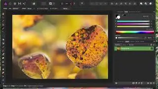 How to save a selection in Affinity Photo