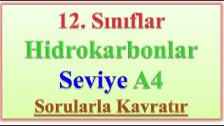 12. Sınıflar Hidrokarbonlar Seviye A4