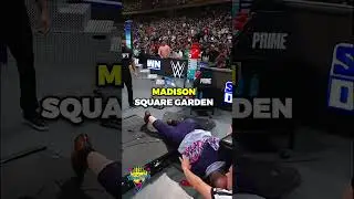 PAUL HEYMAN on Being Put Through a Tabla by THE BLOODLINE