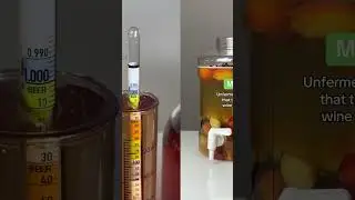 MEAD TERMINOLOGY FOR BEGINNERS