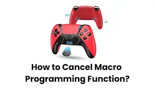 Ymir Elite Control for PS4 Controller, PC Controller with Turbo Function and 2 Back Paddles