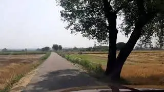 Gurdwara Padmani Wala , Chak mallan Hoshiarpur ( कैंसर की बीमारी का इलाज होता है)