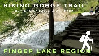 GEMS of Ithaca - Gorge Trail Hike at Buttermilk Falls State Park |  FINGER LAKE REGION