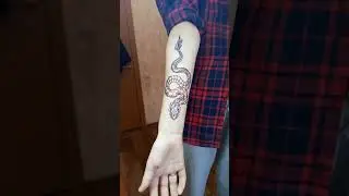Забацали дракошу #tattooartist #тату #tattoo