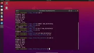 Moving and removing files in Linux
