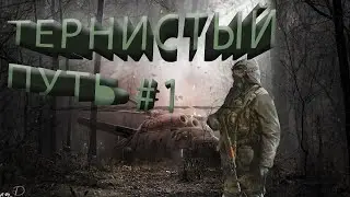 Прохождение Stalker Тернистый Путь №1 [Перезапуск]