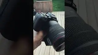 Canon R6'yı Hem Seviyorum Hem Gıcık Oluyorum! 🎥 #shorts