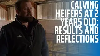 Calving Heifers at 2 Years Old: Results and Reflections