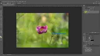 Remove unwanted objects from your picture in 1 minute