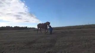First fall off Lucas