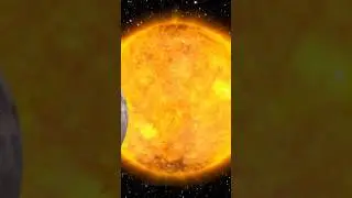 Awe-Inspiring Eclipse: English Bulldog’s Reaction! #dogs #eclipse  #2024 #solareclipse #reaction #tx