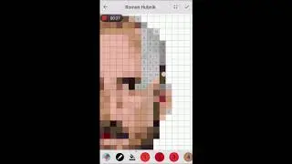 Pixel Coloring Roman Hubnik
