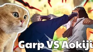 Garp vs Aokiji - ONE PIECE EP 1114 / CAT MEMES
