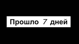 Покупаю Discord Nitro за 100 РУБЛЕЙ!!! Я В ШОКЕ! НЕ КЛИКБЕЙТ